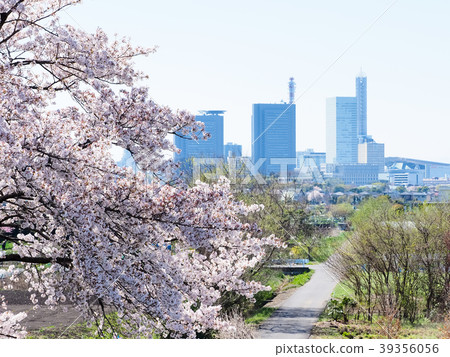 櫻花和埼玉新都心 櫻花和埼玉新都心 39356056