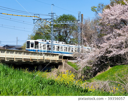 火車穿過春天 火車穿過春天 39356057