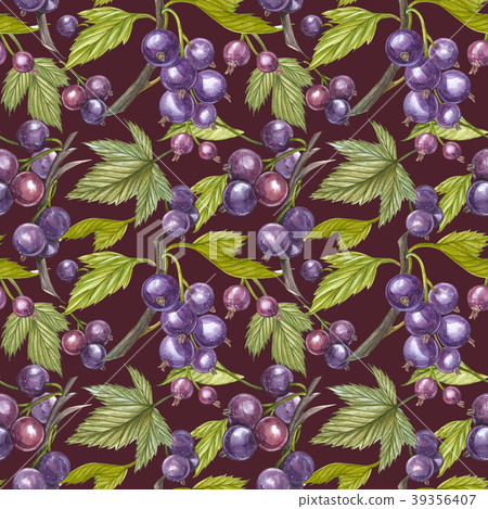 Blackcurrant with leaf isolated on white 39356407