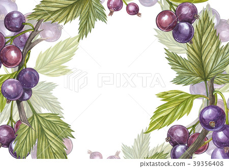 Hand-drawn watercolor blackcurrant. Can be used as 39356408
