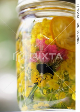 Herbarium 39358217
