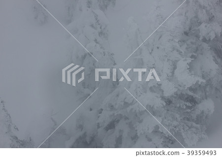 Heavy snowfall of Zao Heavy snowfall of Zao 39359493