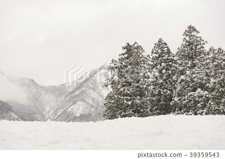 Snow scene of Yuzawa-machi 39359543