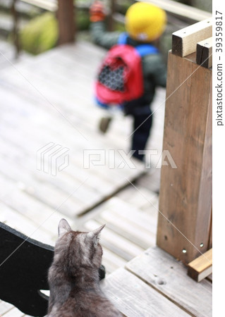 A boy scared of cats and runs away 39359817