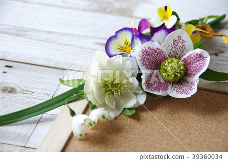 春天的花和留言板 春天的花和留言板 39360034
