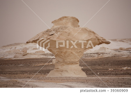 Egypt White Desert Bahariyah Sightseeing Travel Arabian Desert Travel Adventure Africa Oasis Rock 39360909