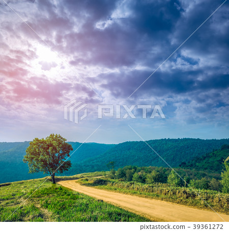 Landscape in nature of sky with cloudy and roadway 39361272