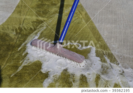 Washing carpet with brush Washing carpet with brush 39362195