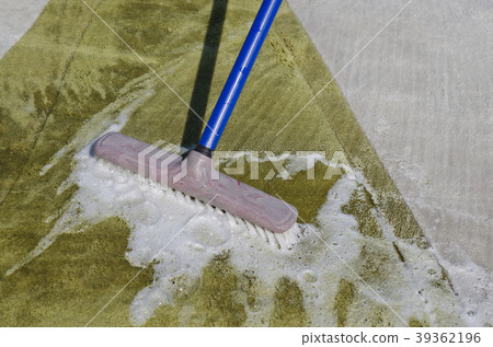 Washing carpet with brush Washing carpet with brush 39362196