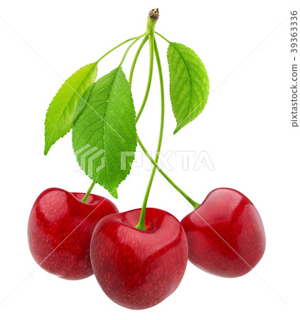 Cherry isolated on white background 39363336