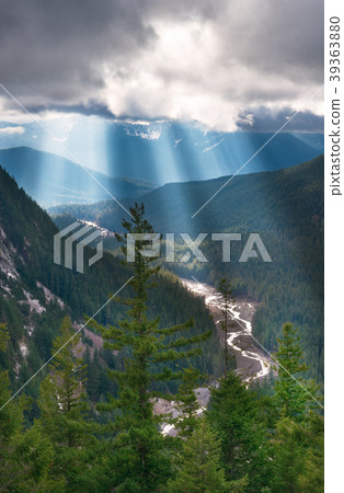 Rainier National Park 39363880