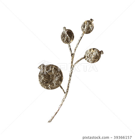 Golden leaf design elements. Decoration elements Golden leaf design elements. Decoration elements 39366157