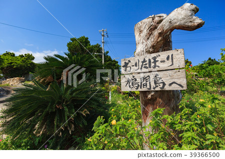 Hatama Island Signs Oritaribori 39366500