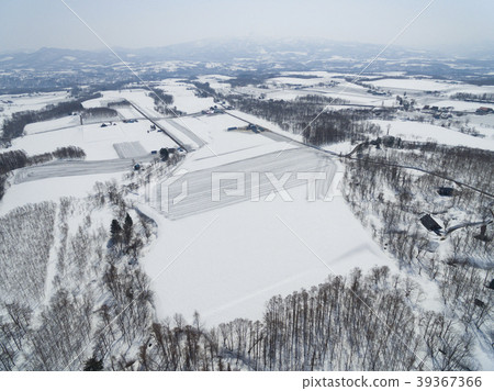 Pattern of snow melting agent sowed in the field Pattern of snow melting agent sowed in the field 39367366