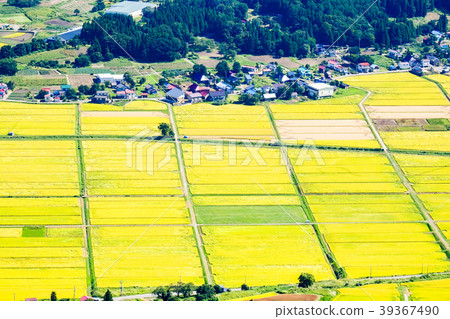 秋季鄉村景觀(九月) 秋季鄉村景觀(九月) 39367490