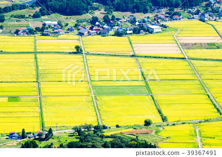 Autumn rural landscape (September) 39367491