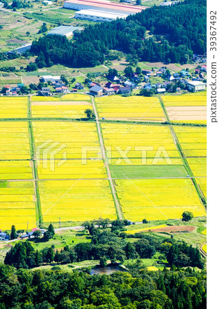 秋季鄉村景觀(九月) 秋季鄉村景觀(九月) 39367492