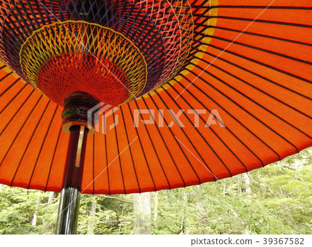 日本紅傘 39367582