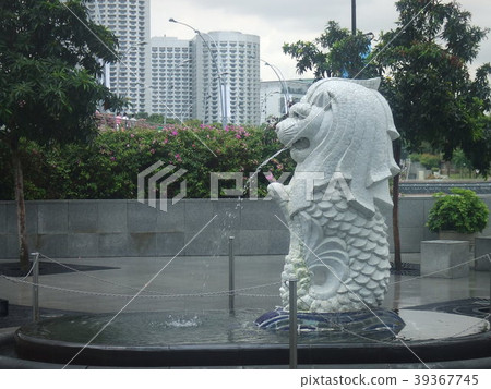 新加坡魚尾獅 39367745