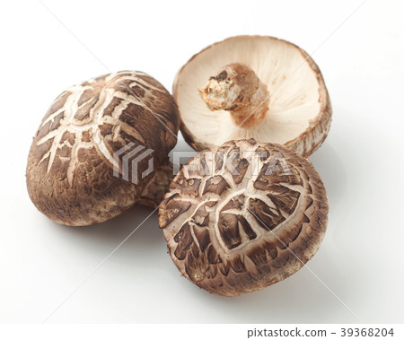Haruki Shiitake 39368204