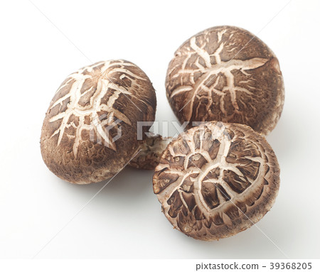 Haruki Shiitake 39368205