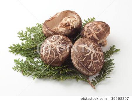 Haruki Shiitake 39368207