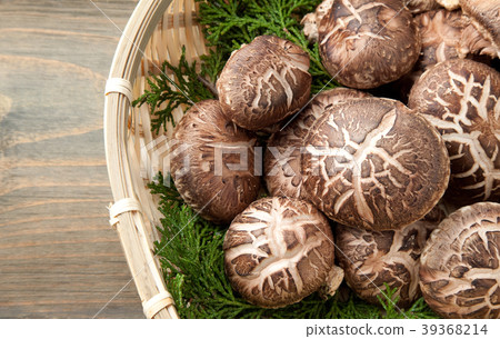 Haruki Shiitake 39368214