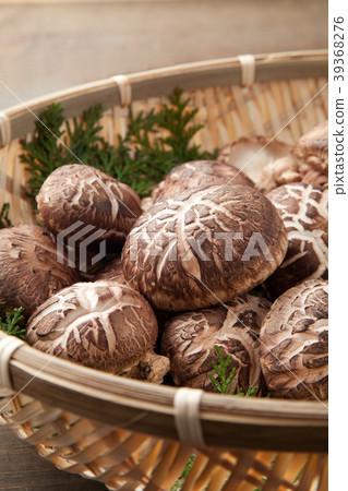Haruki Shiitake 39368276