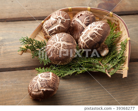 Haruki Shiitake 39368277