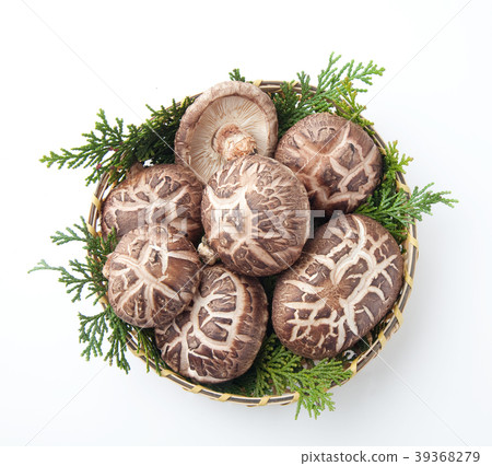 Haruki Shiitake Haruki Shiitake 39368279