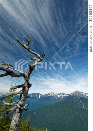 Shiramine Miyama of snowfall seen from Mt. Ulsan 39368395
