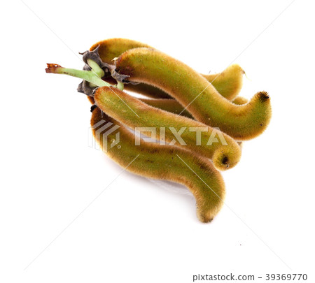 nettles brown pods with on white background nettles brown pods with on white background 39369770