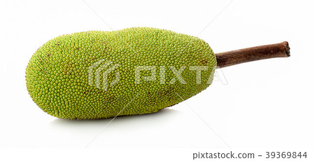 Jackfruit isolated on white background 39369844