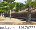 Temple Doji Matsu 39370777