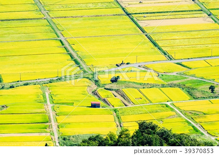 秋季鄉村景觀（九月） 39370853