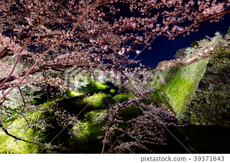 奈良縣大和郡山市 奈良縣大和郡山市 39371643