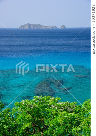 <奄美大島>鈍管的美麗海景03 39371928