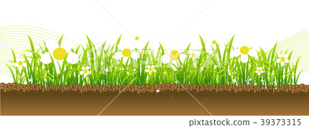 Spring, flowers on the meadow 39373315