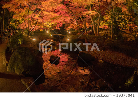 Ootaro Park Ootaro Park 39375041
