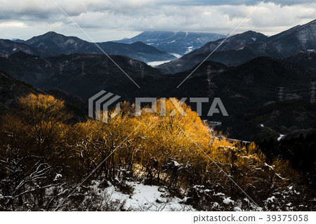 Mejiro Pass 39375058