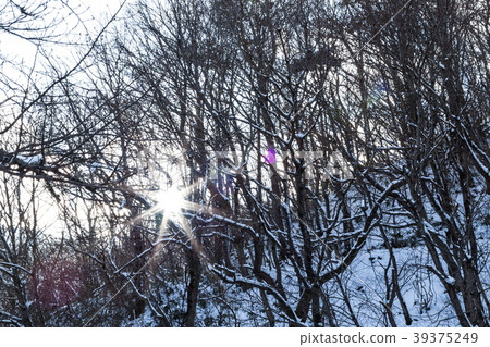 Light beam Light beam 39375249