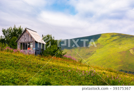 abandoned woodshed on grassy hillside 39375367