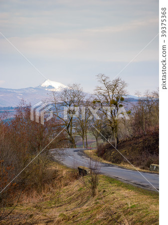 country road in to the mountains with snowy peak country road in to the mountains with snowy peak 39375368
