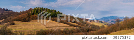 panorama of mountainous area of Carpathians panorama of mountainous area of Carpathians 39375372