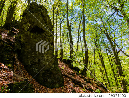 rocky formation among the green forest rocky formation among the green forest 39375400