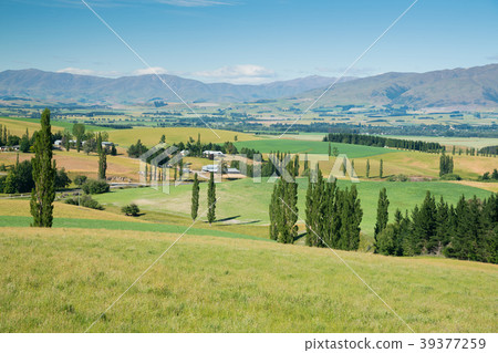 New Zealand high hill green glass New Zealand high hill green glass 39377259