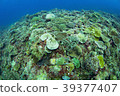 沖繩海 39377407