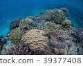 沖繩海 39377408