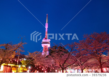 Utsunomiya City Yawatayama Park Hanami open space 39379236