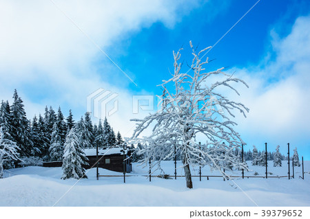 Winter with snow in the Giant Mountains Winter with snow in the Giant Mountains 39379652